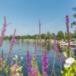 Camping Eldorado - Bild 14