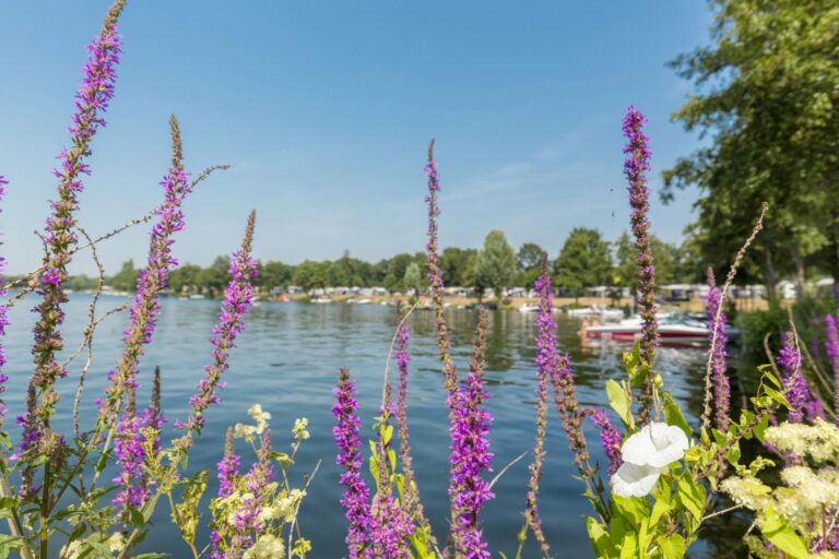 Camping Eldorado - Bild 14