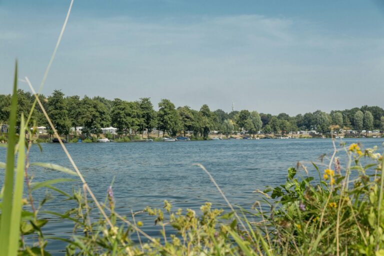 Camping Eldorado - Bild 1