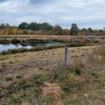 Camping Emmen - Bild 3