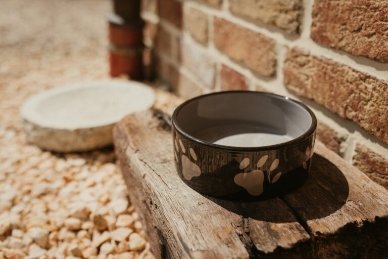 Camping Emstal - Bild 10 Camping Emstal - Bild 10