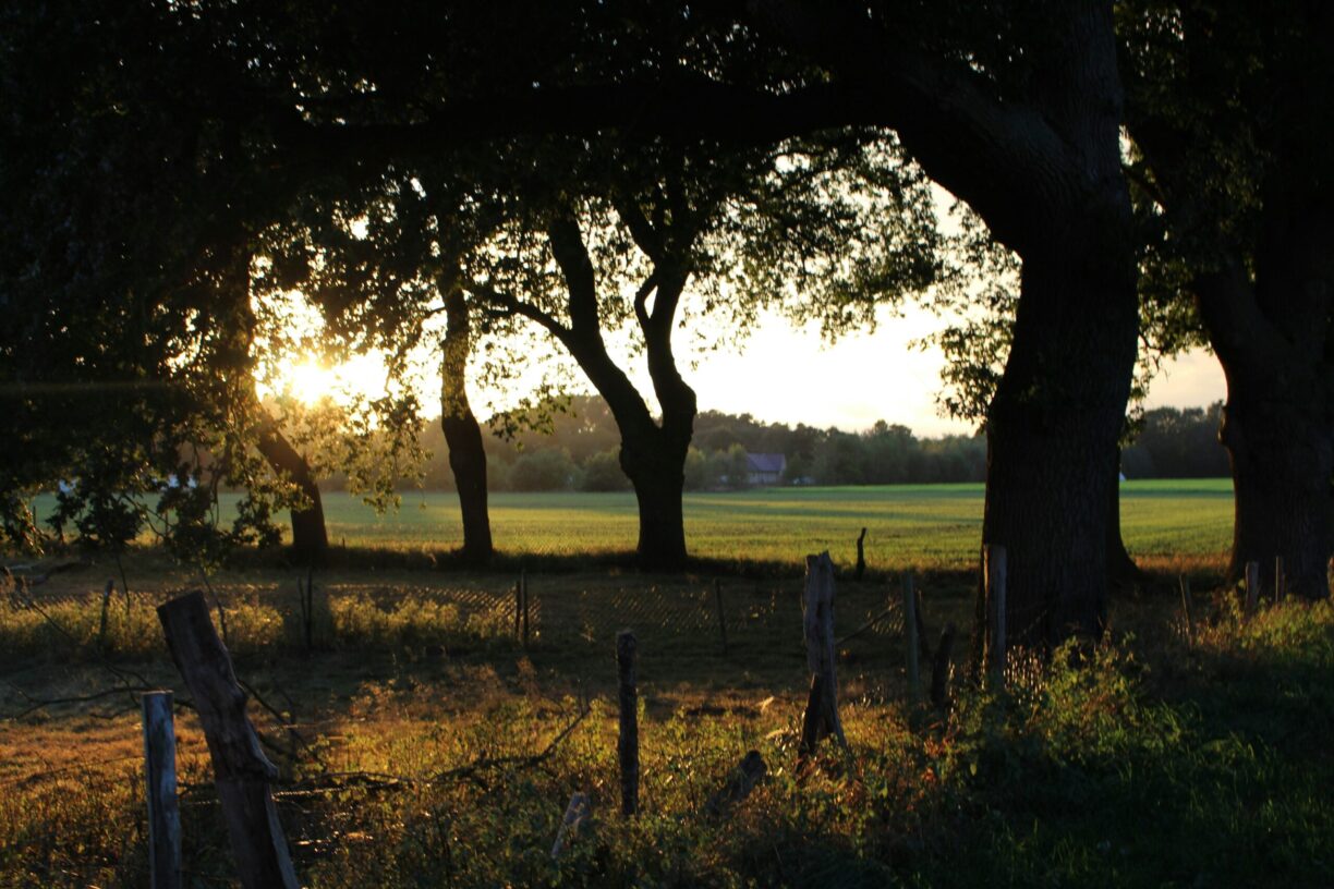 Camping Emstal - Bild 6 Camping Emstal - Bild 6