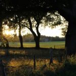 Camping Emstal - Bild 6 Camping Emstal - Bild 6