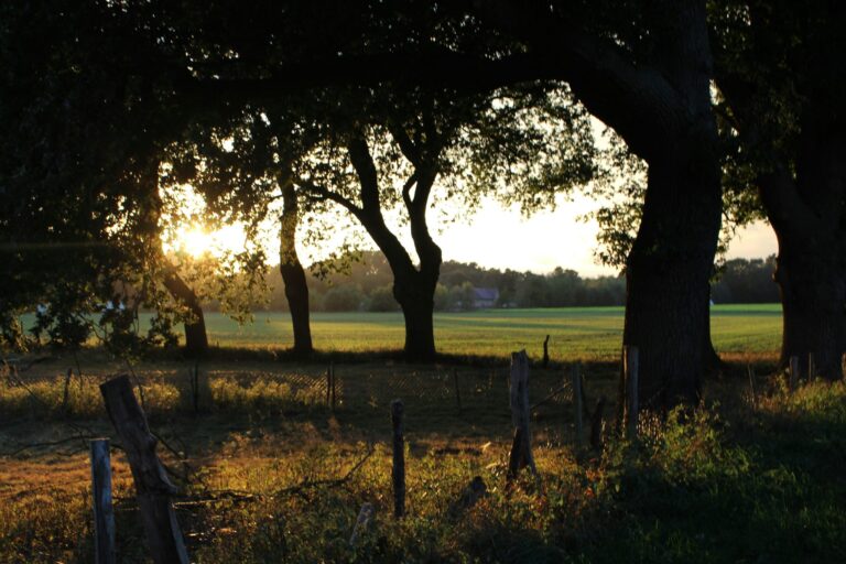 Camping Emstal - Bild 6 Camping Emstal - Bild 6