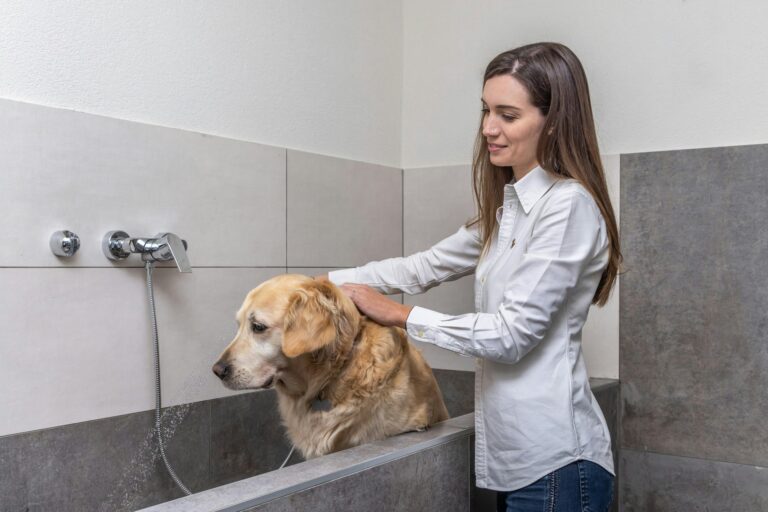 Camping Essenza Alpina - Bild 8