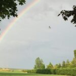 Camping Ferme Pédagogique De Prunay - Bild 17