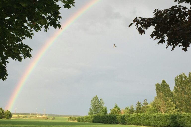 Camping Ferme Pédagogique De Prunay - Bild 17