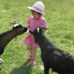 Camping Ferme Pédagogique De Prunay - Bild 18