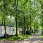 Camping Floreal Het Veen - Bild 9