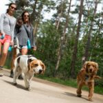 Camping Floreal Kempen - Bild 10