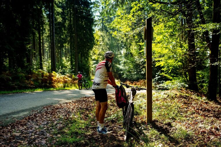 Camping Floreal La Roche En Ardenne - Bild 8