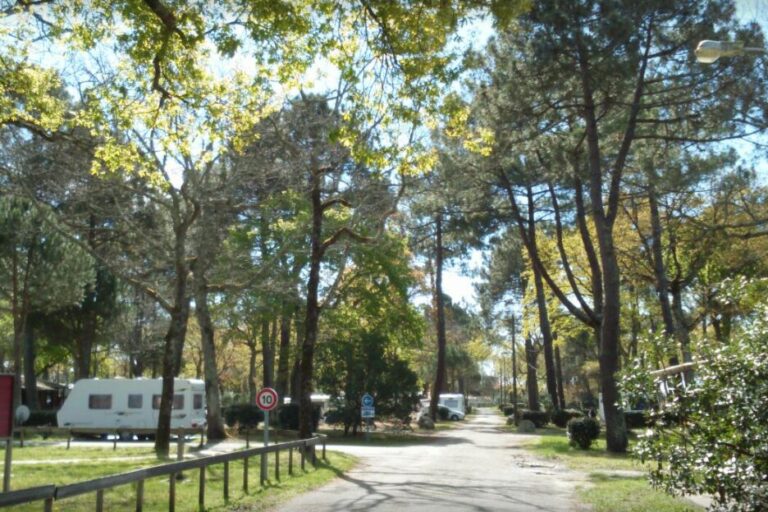 Camping Fontaine Vieille - Bild 1