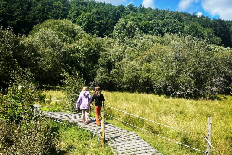 Camping Goudal - Bild 9