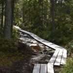 Camping Gullviks Havsbad - Bild 17