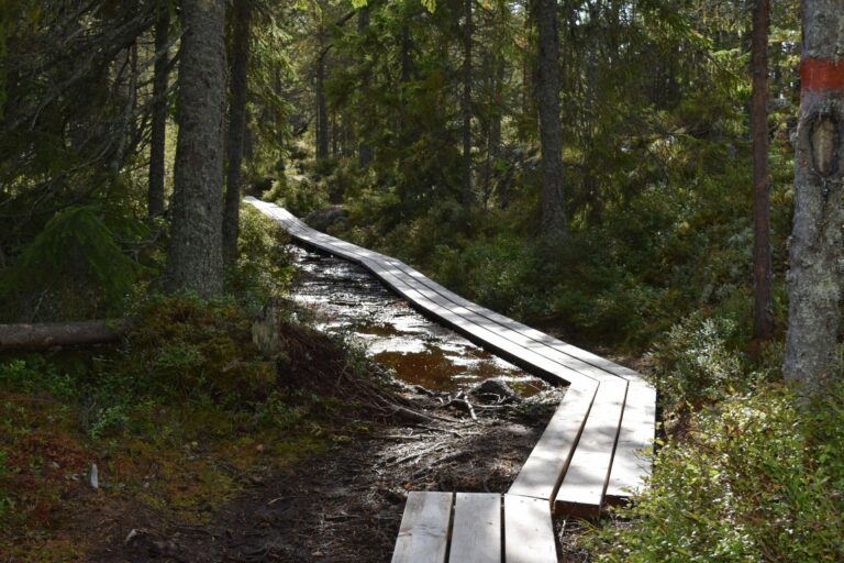 Camping Gullviks Havsbad - Bild 17