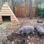 Camping Het Swinnenbos - Bild 11