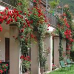 Camping Il Collaccio - Bild 13