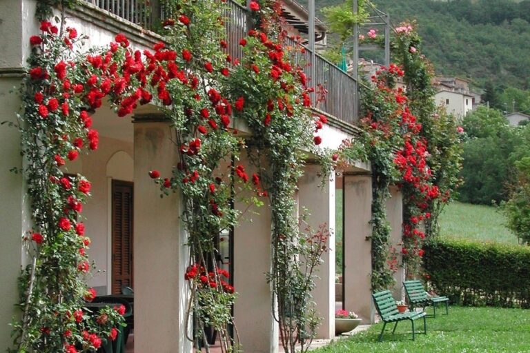 Camping Il Collaccio - Bild 13