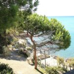 Camping Il Rospo - Bild 2 Camping Il Rospo - Bild 2