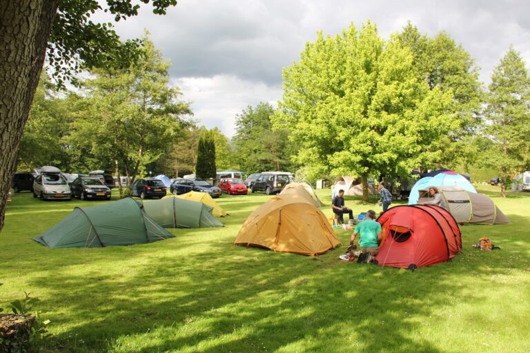Camping Ile De Boulancourt - Bild 1
