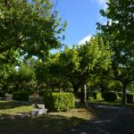 Camping International - Bild 2