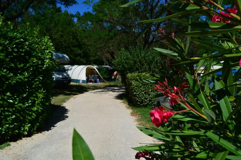Camping International - Bild 3