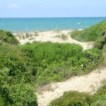 Camping Internazionale Di Castelfusano - Bild 4