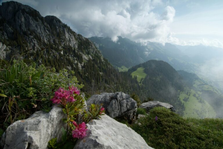 Camping Jaunpass - Bild 16