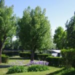 Kanopée Village - Bild 1