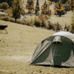 Camping Kirnermarteshof - Bild 11