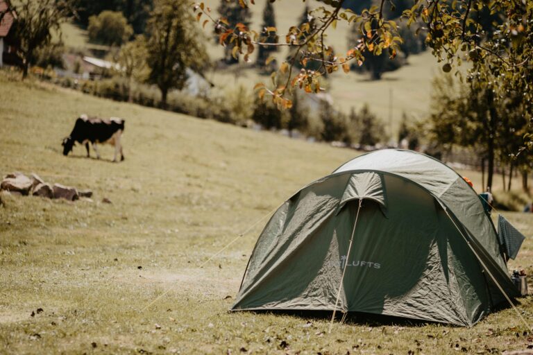 Camping Kirnermarteshof - Bild 11