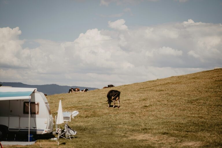 Camping Kirnermarteshof - Bild 12