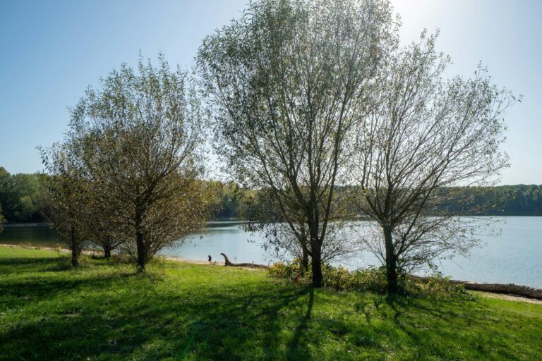 Camping Kollersee - Bild 16 Camping Kollersee - Bild 16