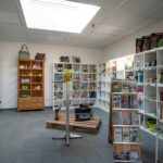 Camping Kollersee - Bild 8 Camping Kollersee - Bild 8