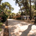 Camping Kozarica - Bild 7 Camping Kozarica - Bild 7