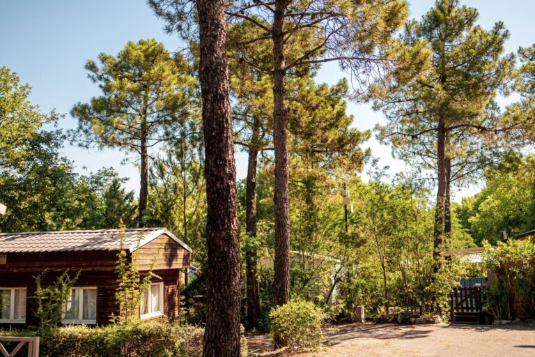 Camping L'argentière - Bild 1