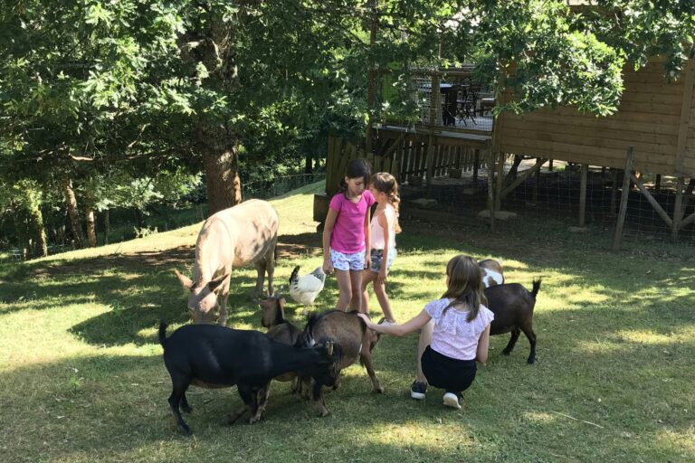 Camping L'offrerie - Bild 1