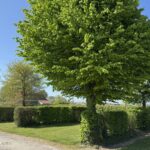 Camping L'orée Des Caps - Bild 1