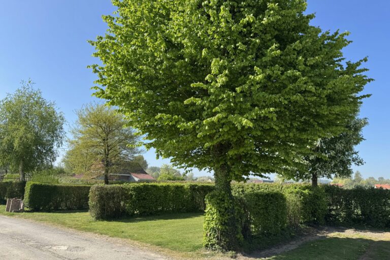 Camping L'orée Des Caps - Bild 1 Camping L'orée Des Caps - Bild 1