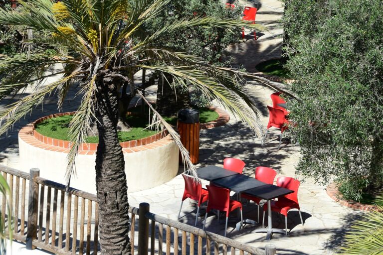 Camping La Baume - La Palmeraie - Bild 17