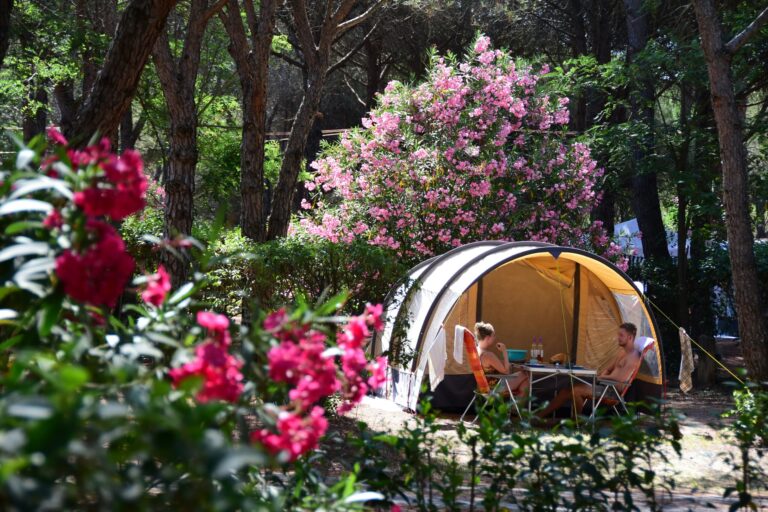 Camping La Baume - La Palmeraie - Bild 5