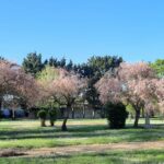 Camping La Belle Étoile - Bild 14