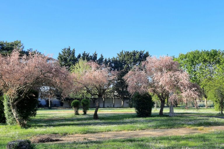 Camping La Belle Étoile - Bild 14