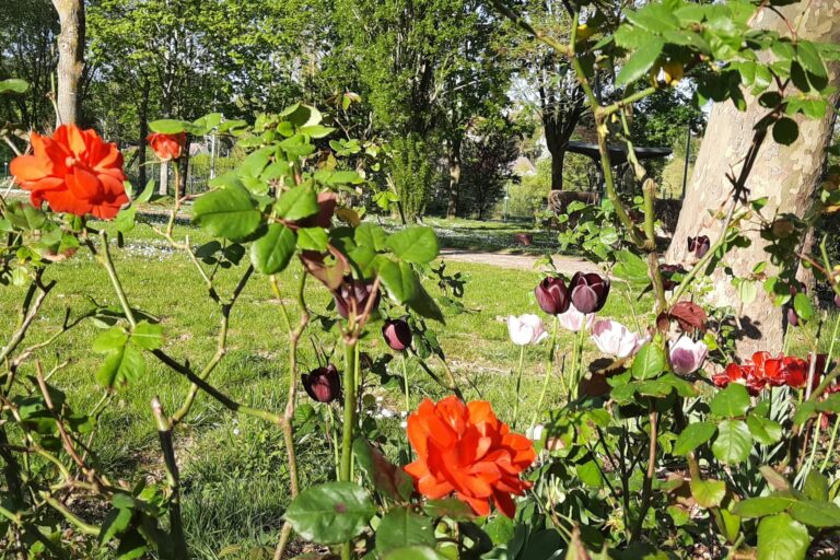 Camping La Belle Étoile - Bild 17