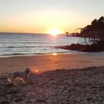 Camping La Boutinardière - Bild 19