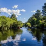 Camping La Cigale De L'allier - Bild 5 Camping La Cigale De L'allier - Bild 5