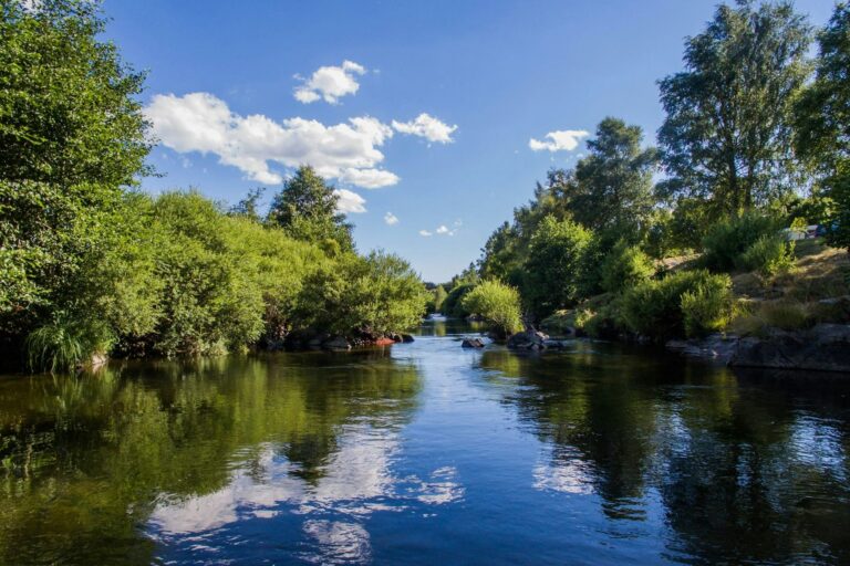 Camping La Cigale De L'allier - Bild 5 Camping La Cigale De L'allier - Bild 5