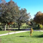 Camping La Cigale De L'allier - Bild 8 Camping La Cigale De L'allier - Bild 8