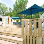 Camping La Clairière - Bild 6