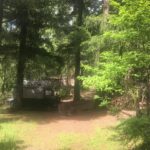 Camping La Corconne - Bild 2